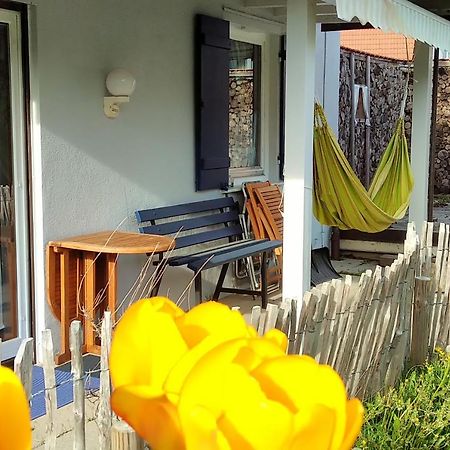 Ferienwohnung Schuhmacherwerkstatt Wilhelm Wendel Loßburg Esterno foto